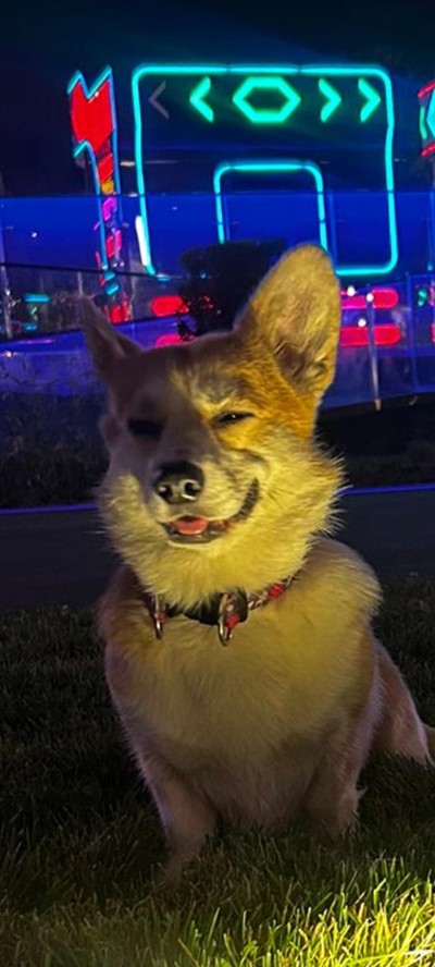 Павел Лебедев