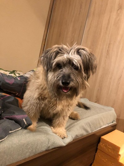 Анастасия Данильченко