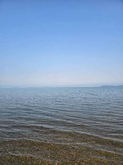 Александр Балута