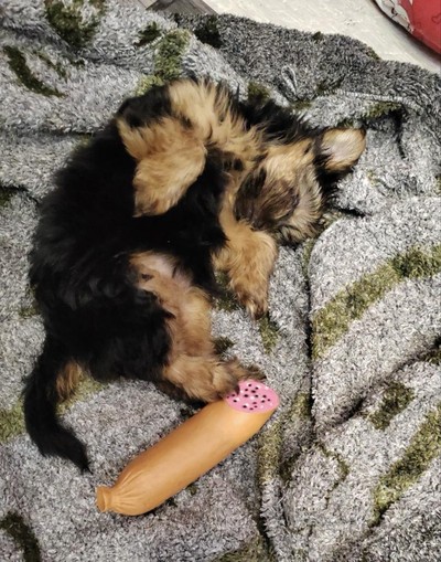 Екатерина Камзольцева