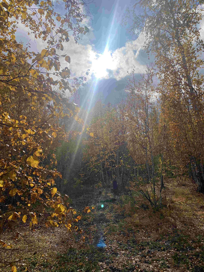 Антонова Наталья