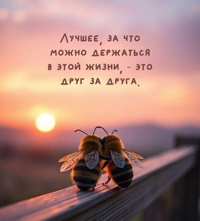 Виктор Балабан