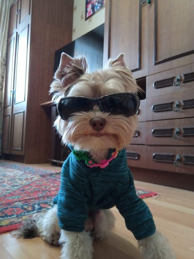 Александр Поченикин