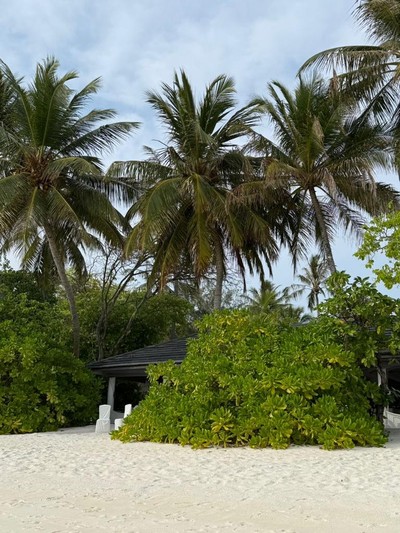 Борис Падиев