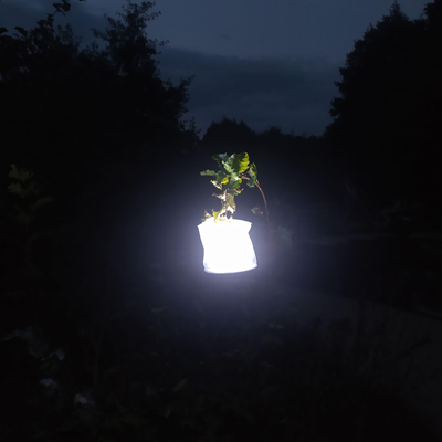 Валерий Соловьев