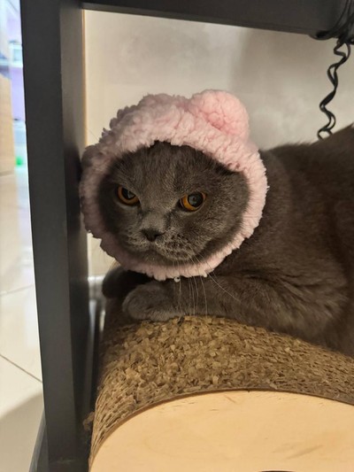 Михаил Борок