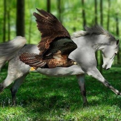 Александр Сафонов