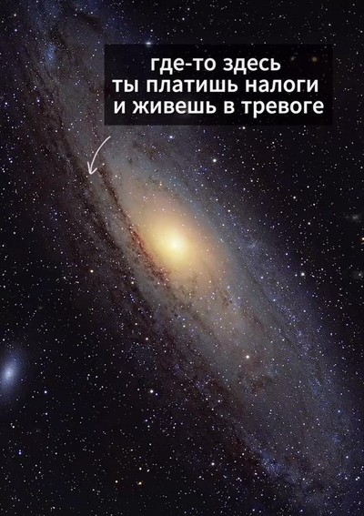 Аллен Мирзаянц