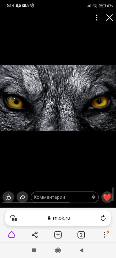 Алексей Смирнов