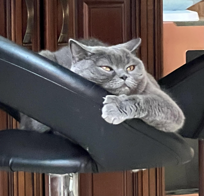 Икаева Людмила