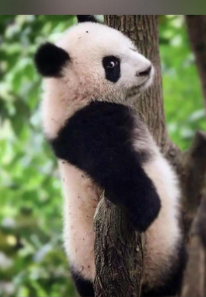 Бекасова Татьяна