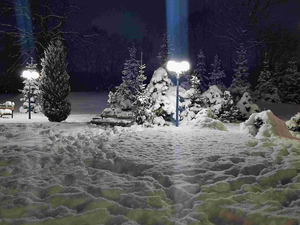 Чугунов Анатолий