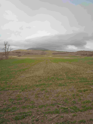 Донгаров Рафаэль