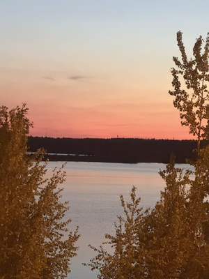 Нафигин Эльдар