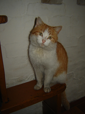 Хребтюгов Анатолий